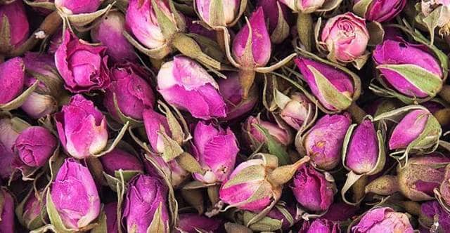 تصویر 1 از غنچه گل محمدی لاله زار کرمان با رنگ طبیعی و کیفیت بالا